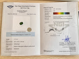 Add-on for Gemological Certification with NGI
