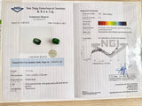 Add-on for Gemological Certification with NGI