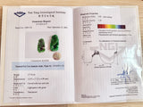 Add-on for Gemological Certification with NGI