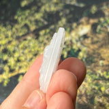 A-Grade Natural White Jadeite Pig Money Ruyi Pendant No.170973