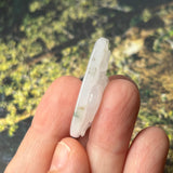 A-Grade Natural White Jadeite Pig Money Ruyi Pendant No.170973