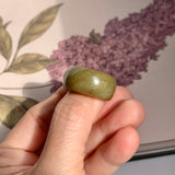 19.3mm A-Grade Natural Dark Yellowish Green Jadeite Ring Band No: 161549