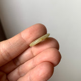 A-Grade Natural Greenish Yellow Jadeite Donut No.172811