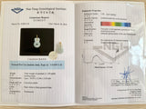 Add-on for Gemological Certification with NGI