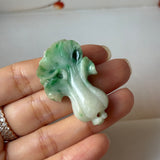 A-Grade Jadeite Cabbage Pendant No. 171044