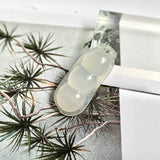 A-Grade White Jadeite Pea Pod Pendant No. 170893