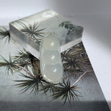 A-Grade White Jadeite Pea Pod Pendant No. 170893