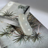A-Grade White Jadeite Pea Pod Pendant No. 170893