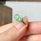 16.4mm A-Grade Natural Moss On Snow Jadeite Colour Galore Ring No.162620