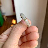 19.2mm A-Grade Multi-Colour Jadeite Ring Band No. 161651