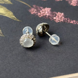 Icy A-Grade Natural Jadeite Classic Halo Stud Earring No.180857