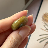 A-Grade Natural Yellow Brown Jadeite Bagel Piece No. 172648