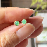 Icy A-Grade Natural Apple Green Jadeite Petite Dolly Earring (Champagne) No.180951