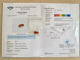 Add-on for Gemological Certification with NGI
