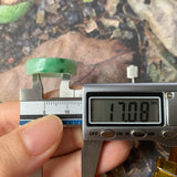 17mm A-Grade Natural Moss On Snow Jadeite Ring Band No.162120