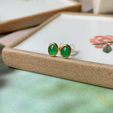 SOLD OUT: A-Grade Natural Green Jadeite Oval Cabochon Stud Earring No.180378