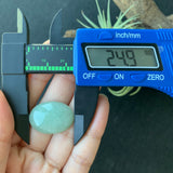 22.60ct A-Grade Natural Light Green Jadeite Oval Cabochon No.130104