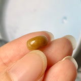 A-Grade Natural Yellowish Brown Jadeite Barrel No.220348