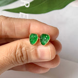 Icy A-Grade Natural Imperial Green Jadeite Leaf Stud Earring No.180649