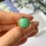 16.2mm A-Grade Natural Green Jadeite Dee Contempo Cabochon Ring No.162231