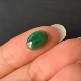 1.55ct A-Grade Natural Green Jadeite Oval Cabochon No.220447