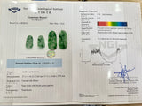 Add-on for Gemological Certification with NGI