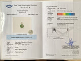 Add-on for Gemological Certification with NGI