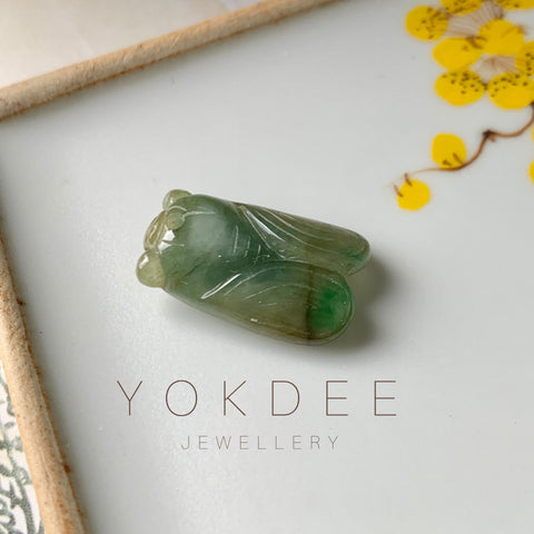 A-Grade Natural Brownish Yellow Jadeite Cicada Pendant No.220350